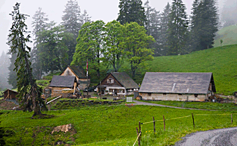 Auf der Alp Schrina muss ein Virus sein