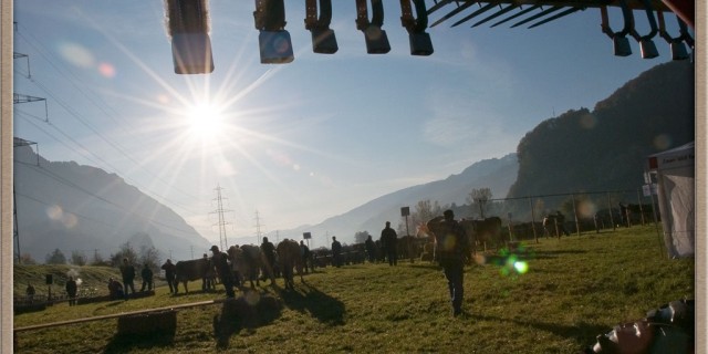 Viehmarkt 2011 Unterterzen